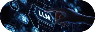 LLM Integrations & LLM Ops